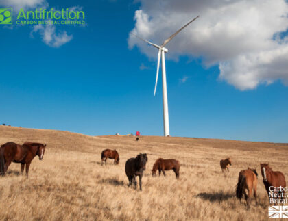 Carbon Neutral News Story