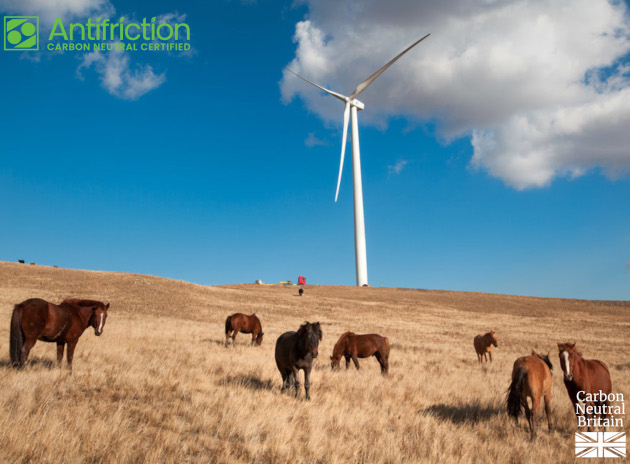 Carbon Neutral News Story